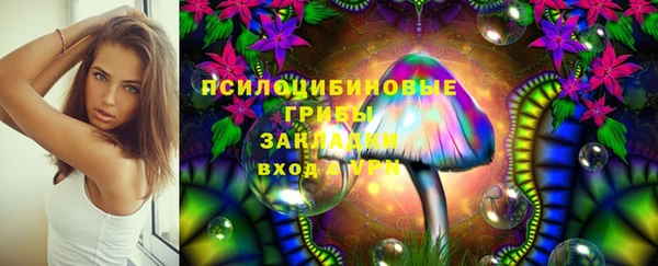 PSILOCYBIN Волоколамск