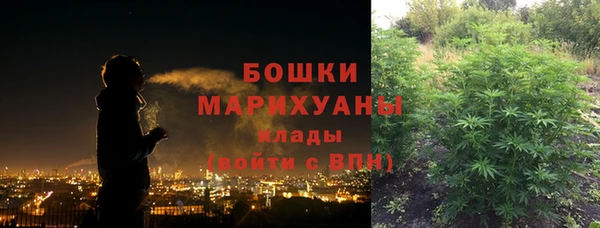 шишки Лиски