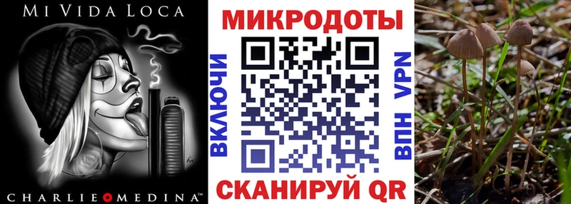 как найти   блэк спрут tor  Галлюциногенные грибы ЛСД  Заволжск 