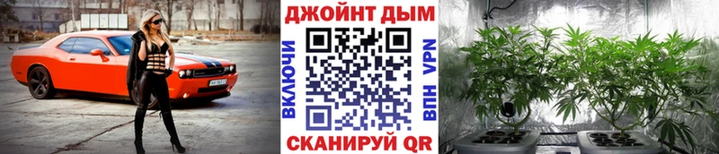 Конопля LSD WEED цена kraken сайт Заволжск